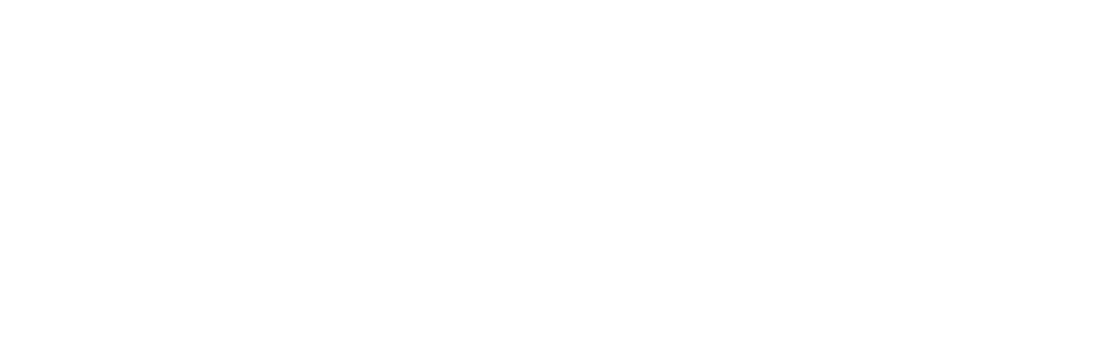 Alex Estudio Logo